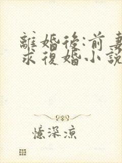 离婚后:前妻哭求复婚小说完整版本