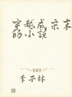 穿越成宋末赵g的小说