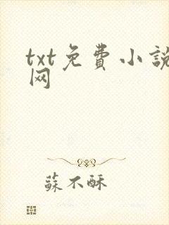 txt免费小说网