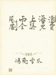 风雨上海滩电视剧全集免费观看第1集