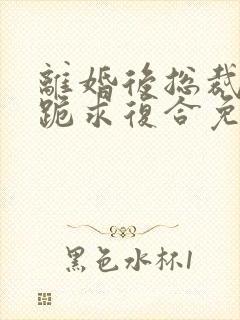 离婚后总裁前妻跪求复合免费阅读