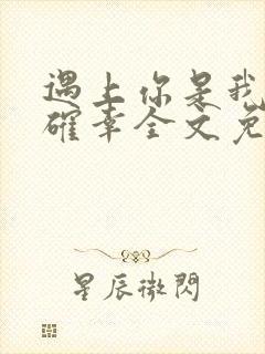 遇上你是我的小确幸全文免费阅读