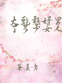 大乾憨婿男主娶了多少女人