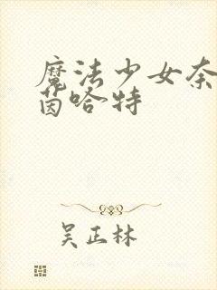 魔法少女奈叶艾茵哈特