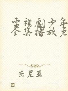 电视剧少年派2全集播放免费