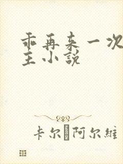 乖再来一次双男主小说