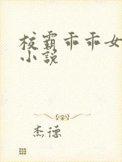 校霸乖乖女校园小说