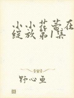 小小花蕾在心中绽放第1集