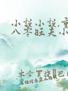 小说小说,重生八零旺夫小辣妻