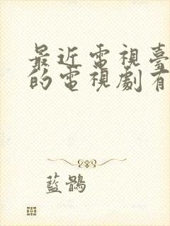 最近电视台播放的电视剧有哪些