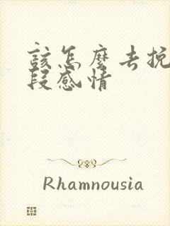 该怎么去挽回一段感情