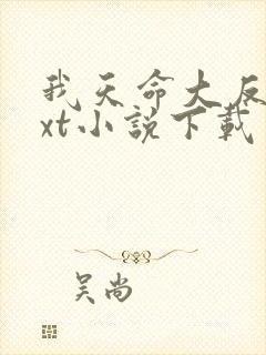 我天命大反派txt小说下载