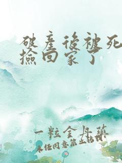 破产后被死对头捡回家了