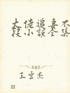 大佬追妻不择手段小说全集阅读