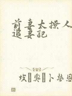 前妻太撩人总裁追妻记