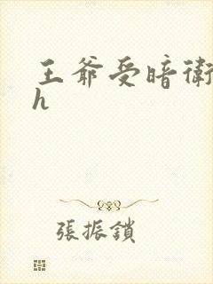 王爷受暗卫攻高h