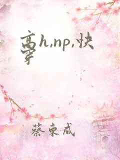 高h,np,快穿