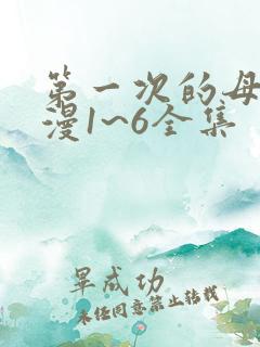 第一次的母亲动漫1~6全集