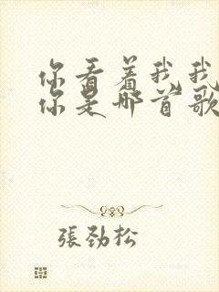 你看着我我看着你是哪首歌的歌词