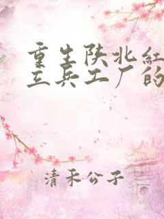 重生陕北红军建立兵工厂的小说