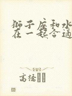 狮子座和水瓶座在一起合适吗