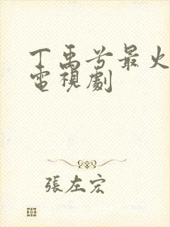 丁禹兮最火十部电视剧