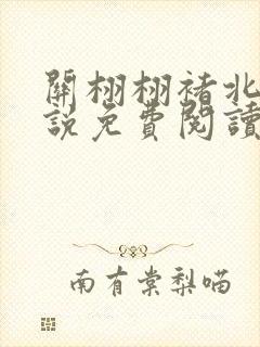 关栩栩褚北鹤小说免费阅读笔趣阁