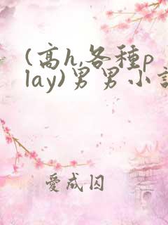 (高h,各种play)男男小说