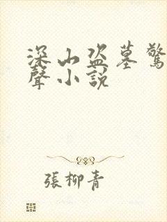 深山盗墓惊人有声小说