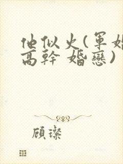 他似火(军婚 高干 婚恋)