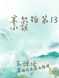 赛尔号第13季小说
