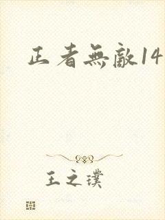 正者无敌14集