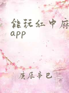 能玩红中麻将的app