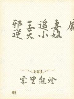 邪王追妻 废材逆天小姐