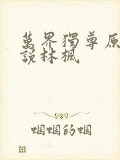 万界独尊原著小说林枫