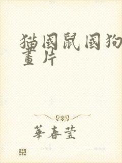 猫国鼠国狗国动画片