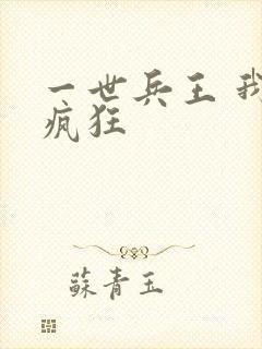 一世兵王 我本疯狂