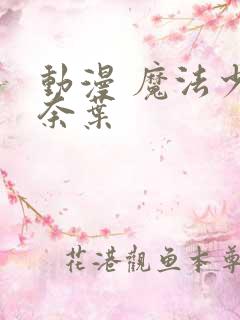 动漫 魔法少女奈叶