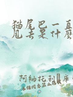 猫尾巴一直甩来甩去是什么意思