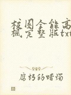 校园全能高手季枫完整版txt下载