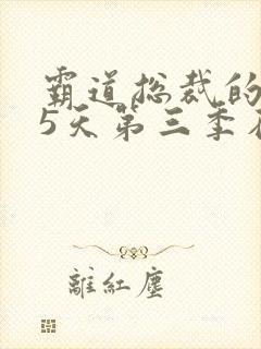 霸道总裁的365天第三季在线观看