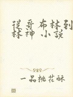 从哥布林到哥布林神 小说