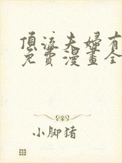 顶流夫妇有点甜免费漫画全集