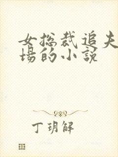 女总裁追夫火葬场的小说