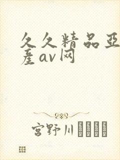 久久精品亚洲国产av网