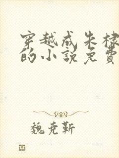 穿越成朱棣女婿的小说免费阅读