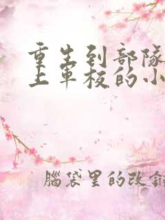 重生到部队大院上军校的小说