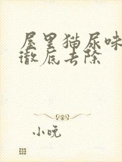 屋里猫尿味怎么彻底去除