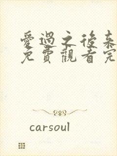 爱过之后来临的免费观看完整版在线全集