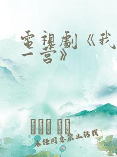 电视剧《我的特一营》